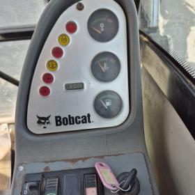 Display Bobcat 442